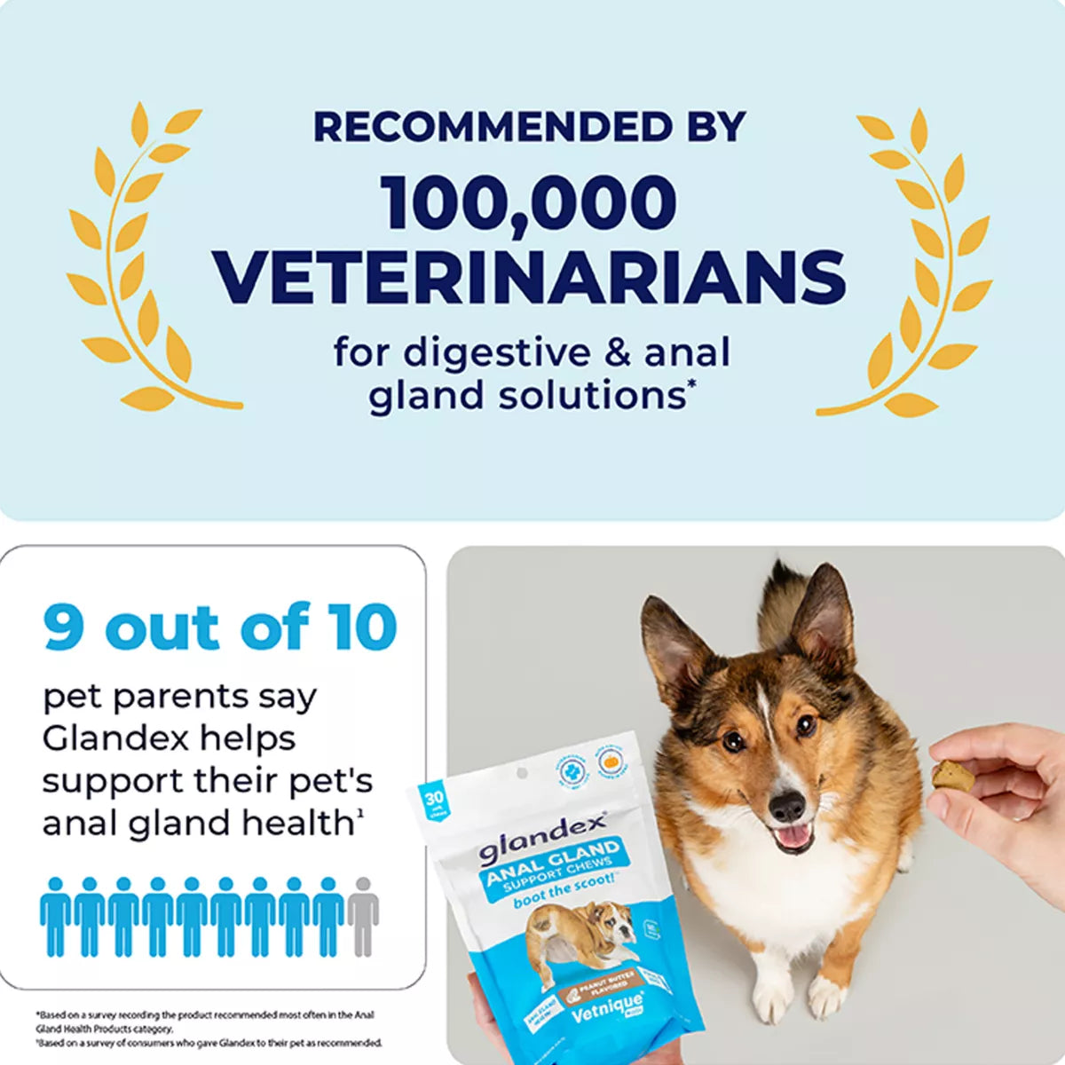Vetnique Labs Glandex® Boot the Scoot® Dog Anal Gland Support Soft Chews, Peanut Butter, 60 Count