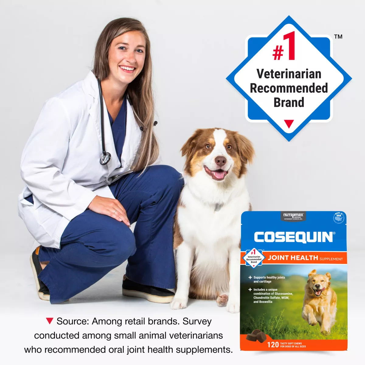 Nutramax® Cosequin® DS Joint Health Supplement for Dogs - Soft Chews with MSM & Boswellia