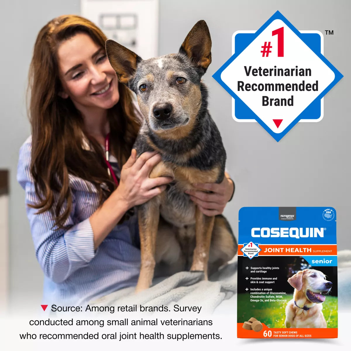 Nutramax® Cosequin® Joint Health Supplement for Senior Dogs - Maximum Strength Soft Chews - 60 Count