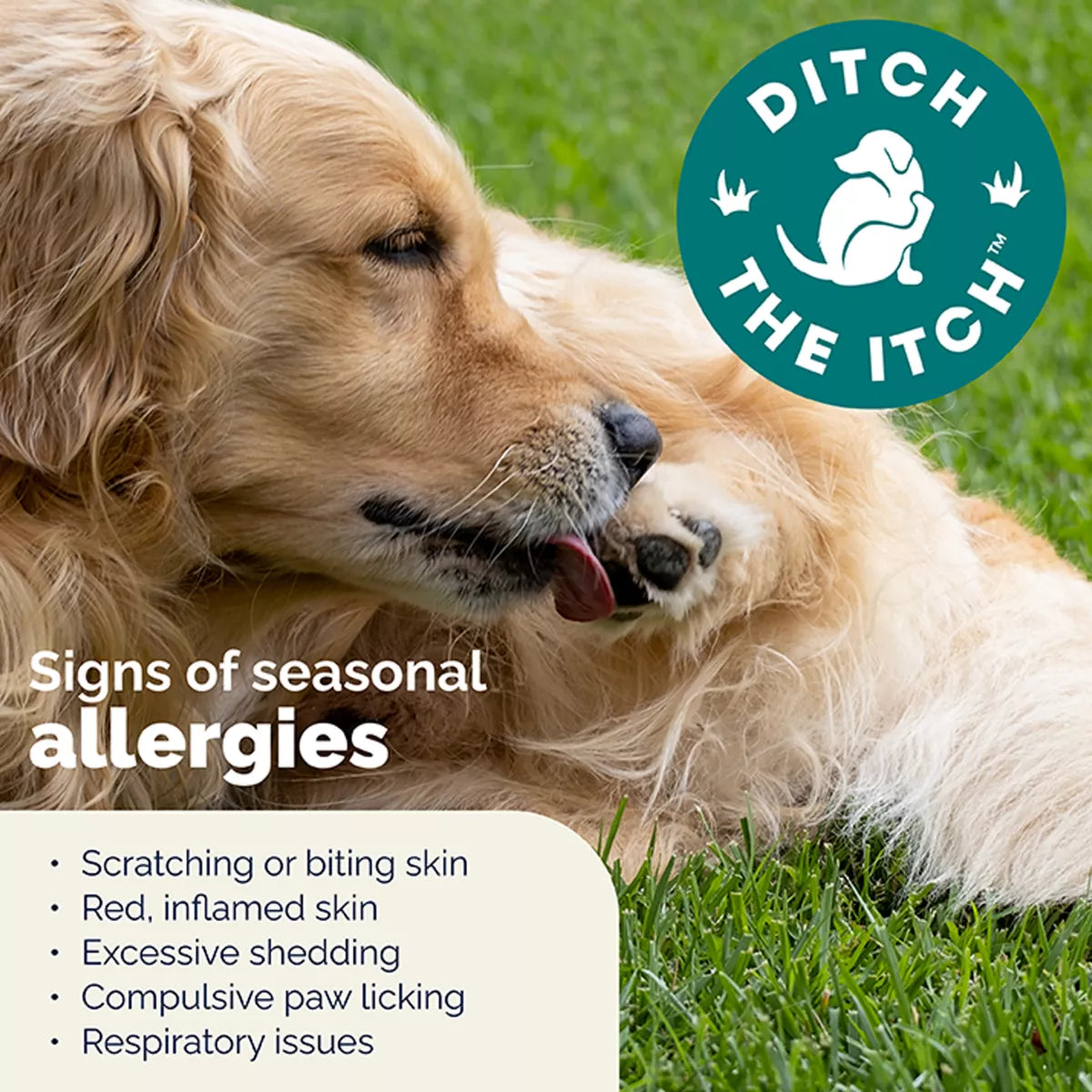Vetnique Dermabliss Dog Seasonal Allergy & Immune Soft Chews, Skin Health, Salmon Flavor, 30 Count