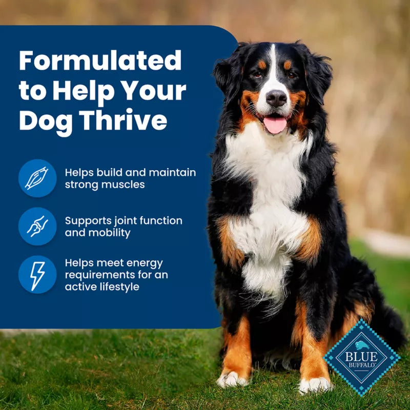 Blue Buffalo Life Protection Formula Adult Dry Dog Food - Chicken & Brown Rice - Image 4