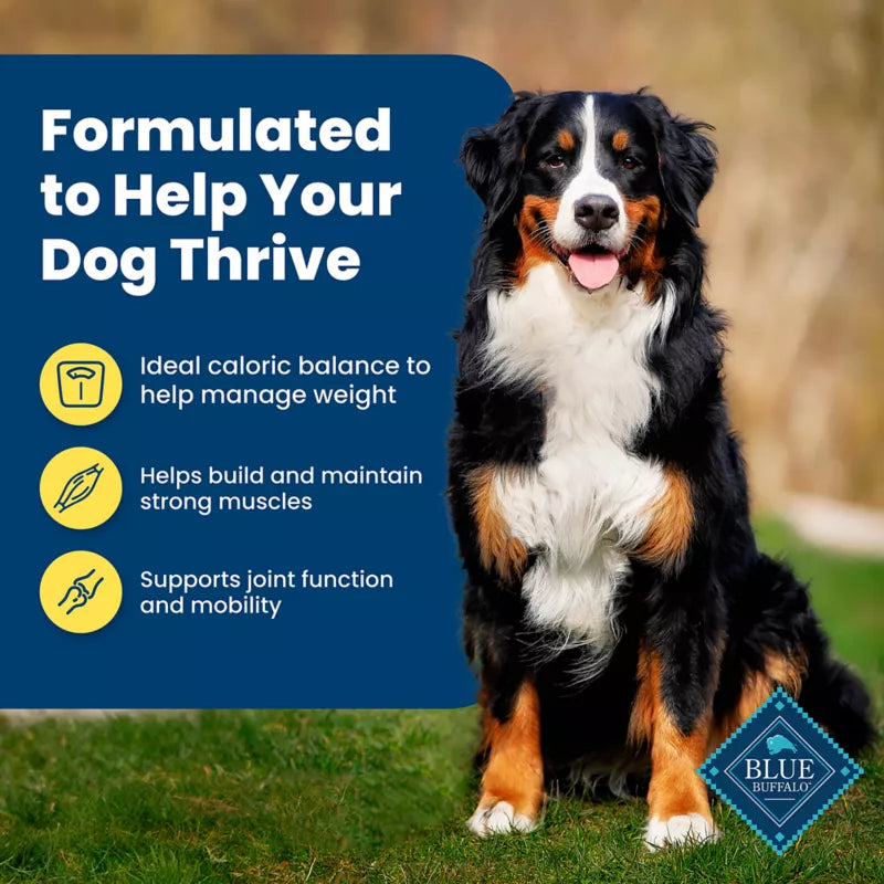 Blue Buffalo Life Protection Formula Healthy Weight Adult Dog Dry Food - Chicken & Brown Rice - Image 4