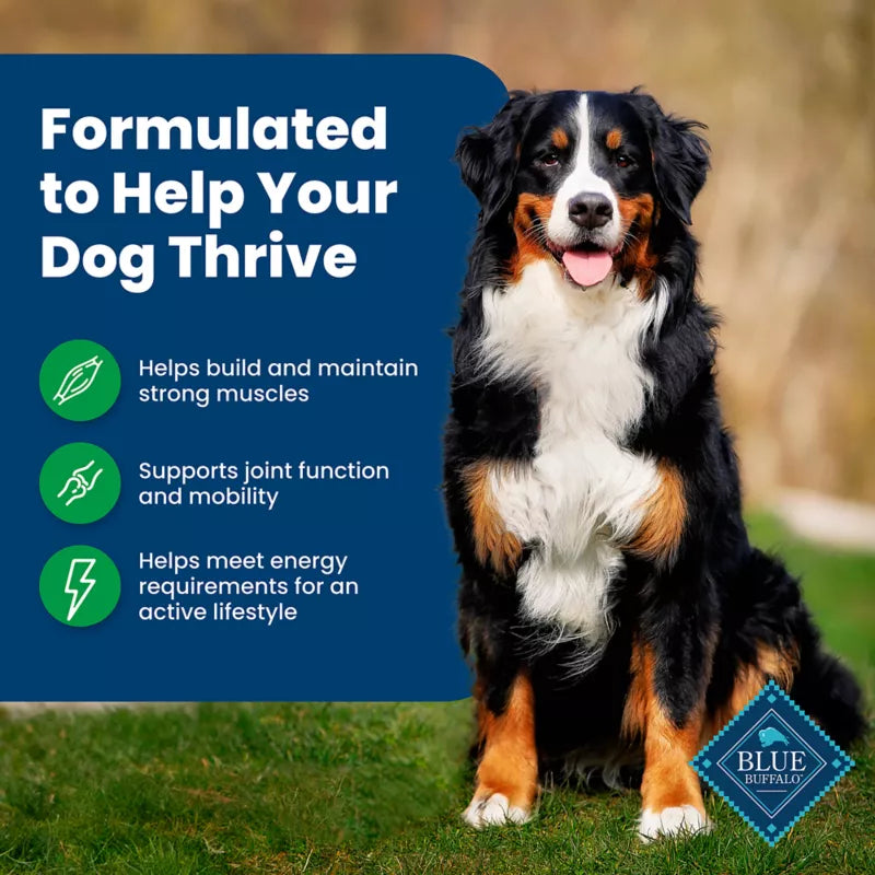 Blue Buffalo Life Protection Formula Adult Dry Dog Food - Lamb & Brown Rice - Image 4
