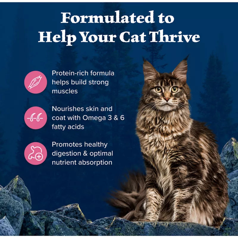 Blue Buffalo Wilderness Adult Dry Cat Food - Grain Free, Salmon - Image 4