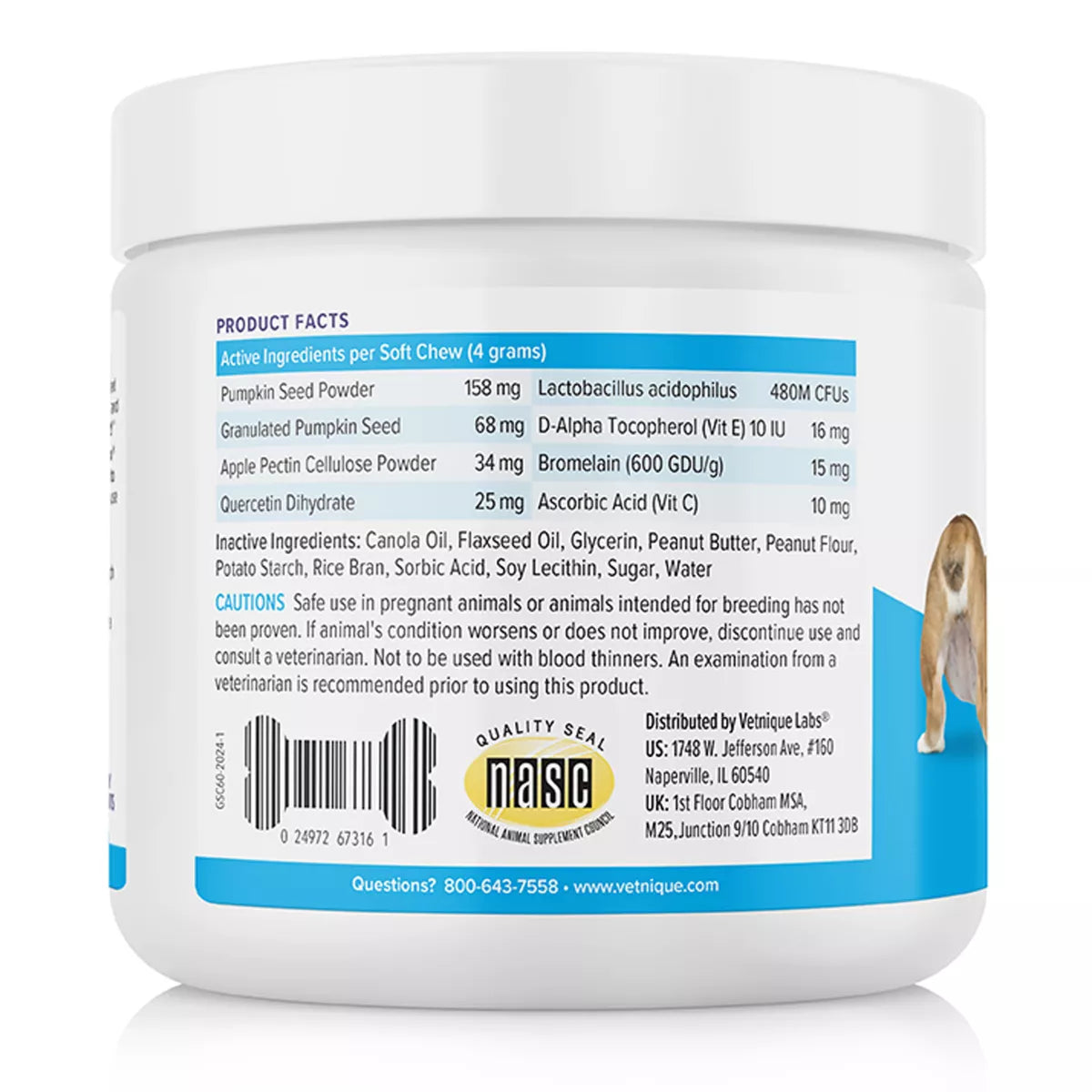 Vetnique Labs Glandex® Boot the Scoot® Dog Anal Gland Support Soft Chews, Peanut Butter, 60 Count