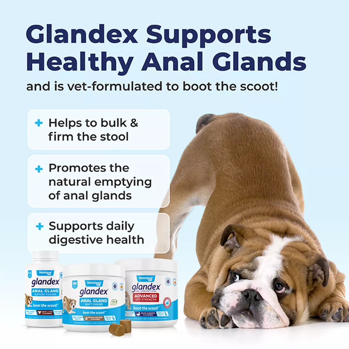 Vetnique Labs Glandex® Boot the Scoot® Dog Anal Gland Support Soft Chews, Peanut Butter, 60 Count