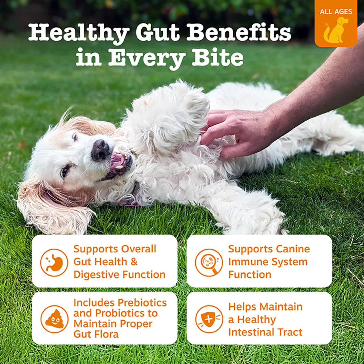 Zesty Paws Dog Probiotic Bites, Gut Flora & Digestive Supplements, Pumpkin Flavor, 90-250 Count