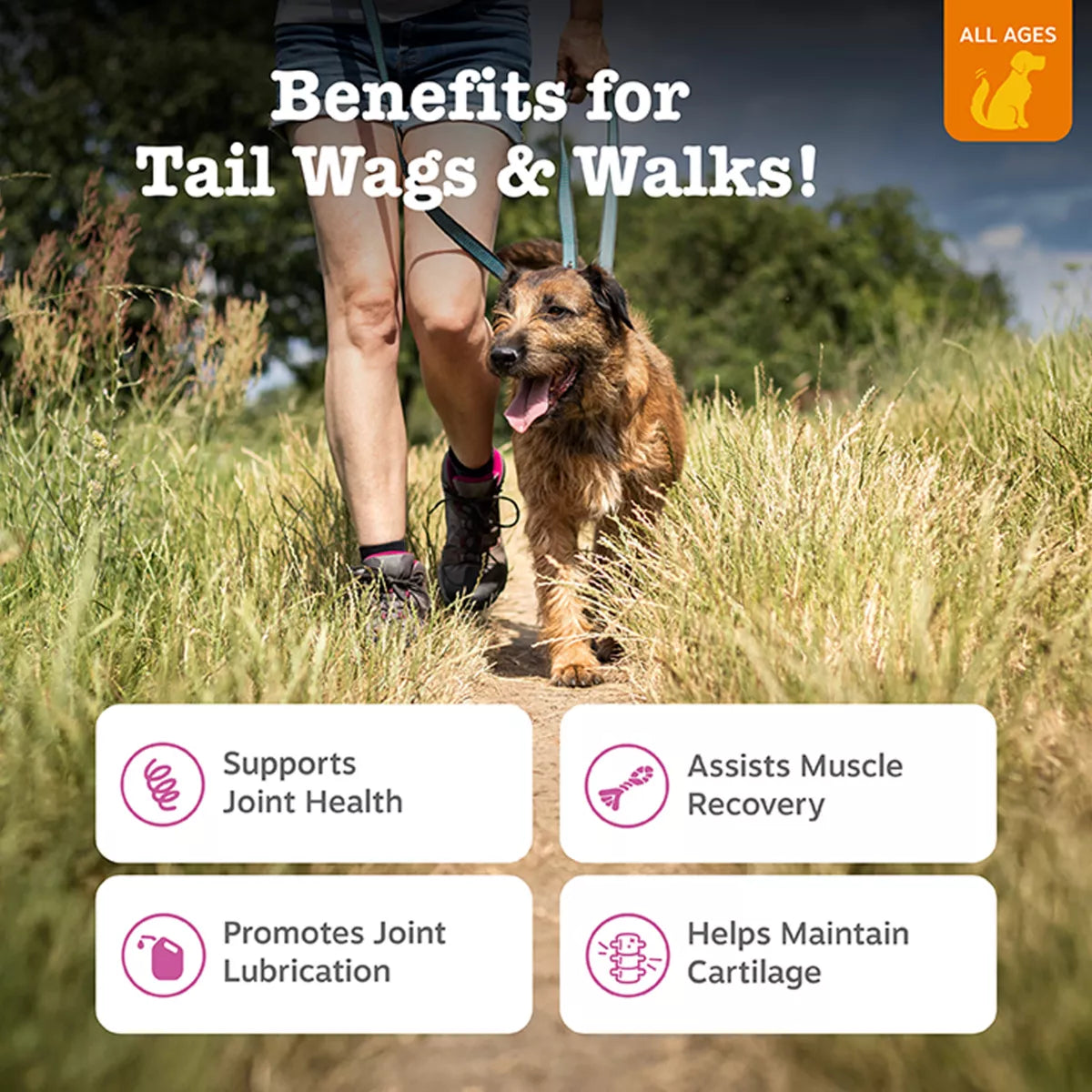 Zesty Paws Mobility Bites for Dogs - Duck Flavor - 90 Ct