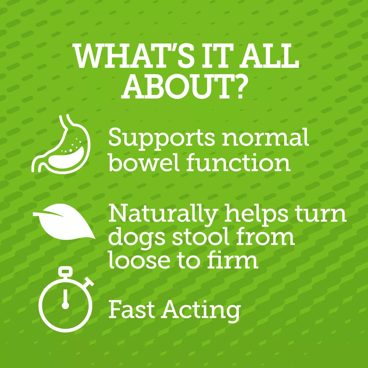 Vetality "Stop The Runs" 5g Chewables for Dogs - Probiotic & Degestive Supplement - 6 Count