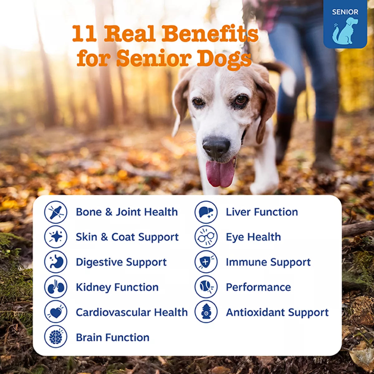 Zesty Paws Senior Advanced 11-in-1 Multivitamin Bites for Dogs - Chicken Flavored - 90 Count