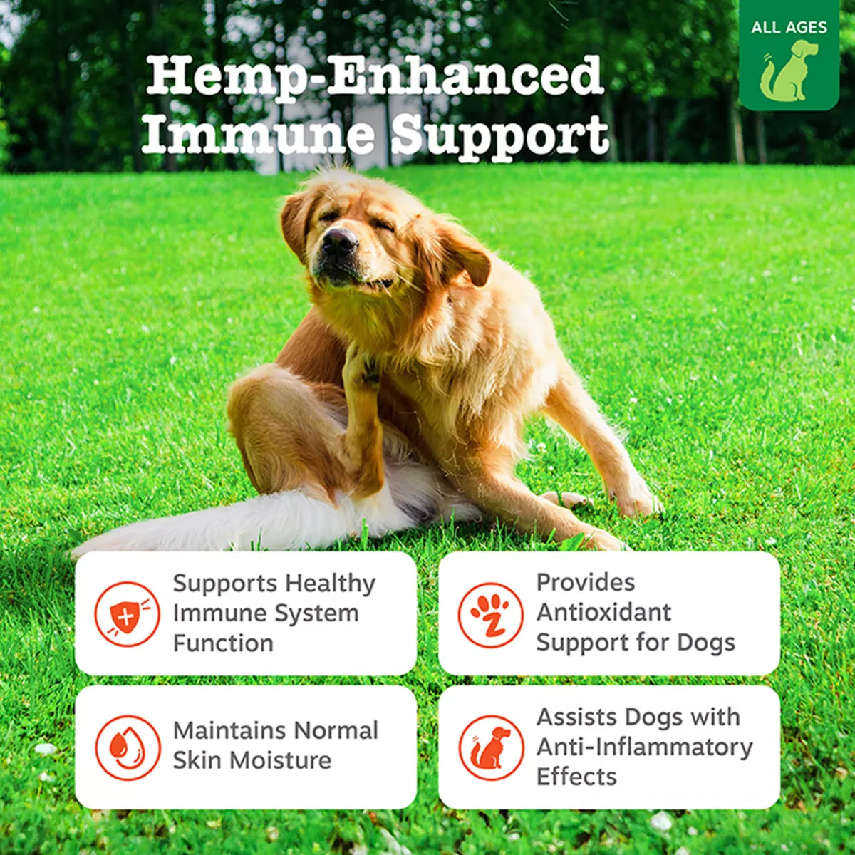 Zesty Paws Dog Hemp Elements Allergy & Immune Bites, Seasonal Allergies, Cheese Flavor, 90ct