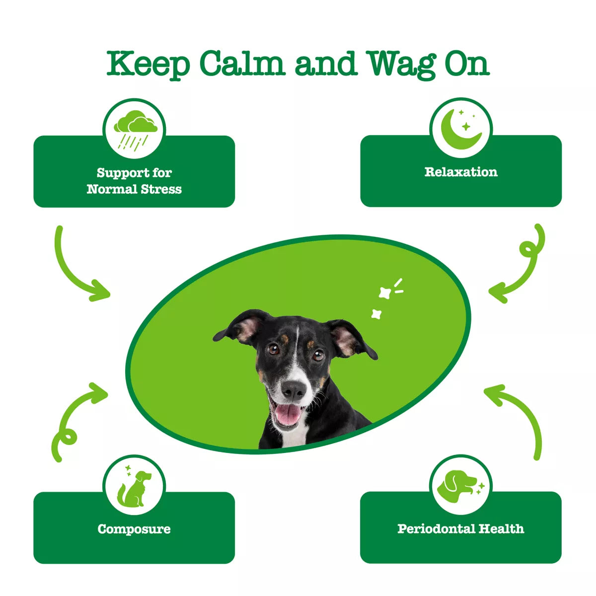 Zesty Paws Hemp Elements Calming OraStix for Dogs - Peppermint Flavor - 12 oz