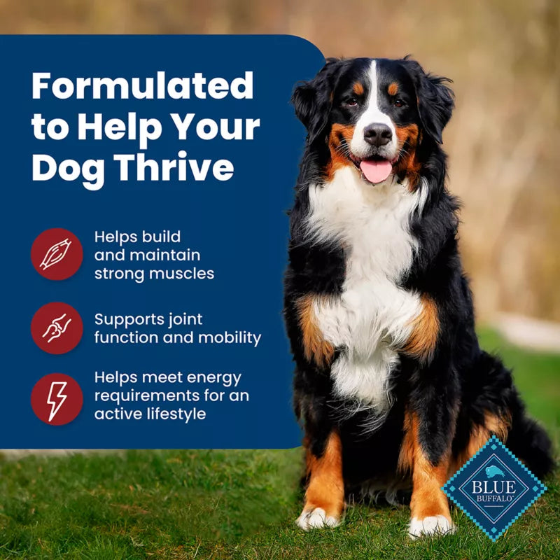 Blue Buffalo Life Protection Formula Adult Dry Dog Food - Beef & Brown Rice - Image 4