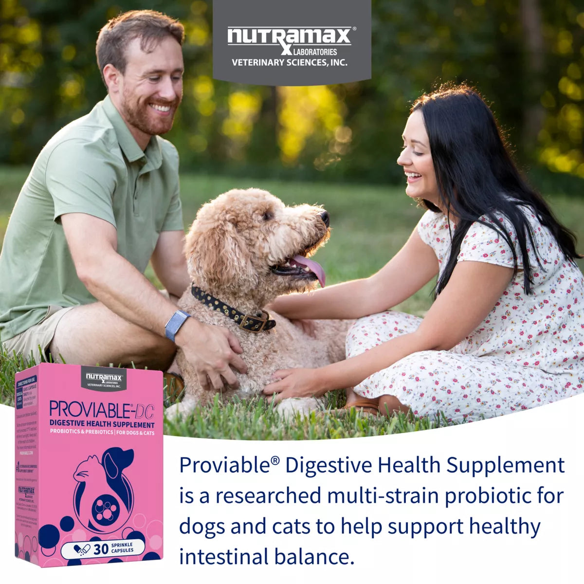 Nutramax® Dog & Cat Proviable Probiotics & Prebiotics Digestive Health Supplement, 30 Count