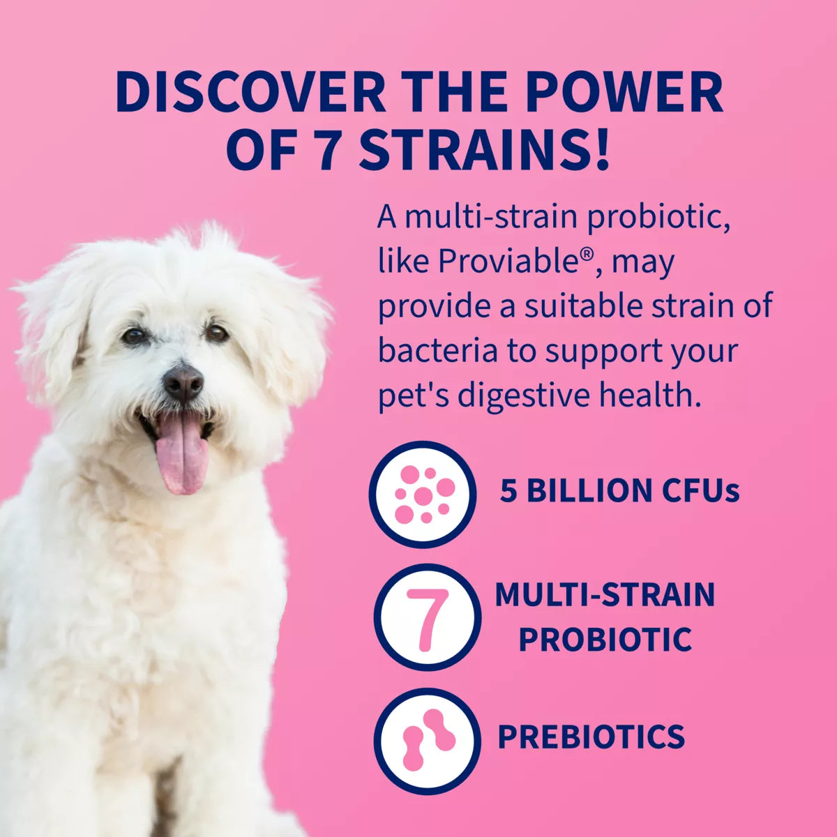 Nutramax® Dog & Cat Proviable Probiotics & Prebiotics Digestive Health Supplement, 30 Count