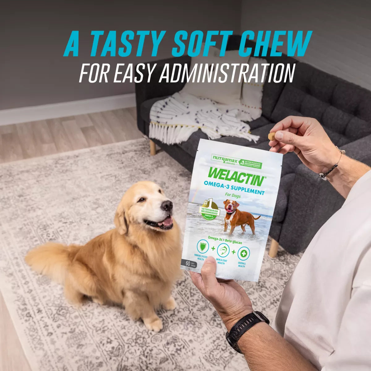 Nutramax® Welactin Omega-3 Soft Chews