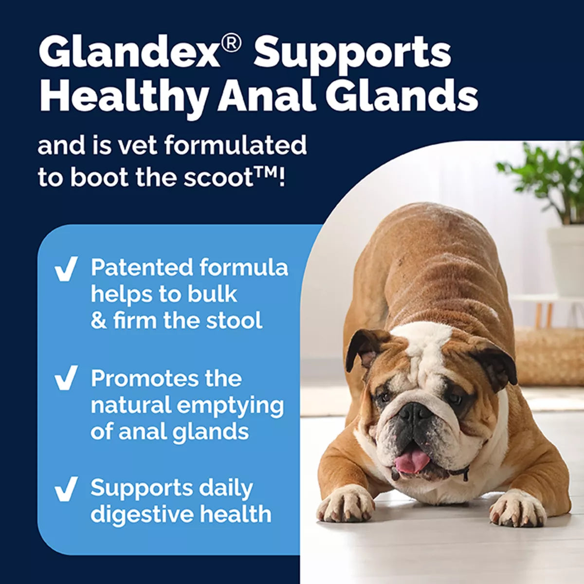 Vetnique Labs Glandex® Dog Advanved Vet Strength Anal Gland Soft Chew, Duck & Bacon Flavor, 60 Count
