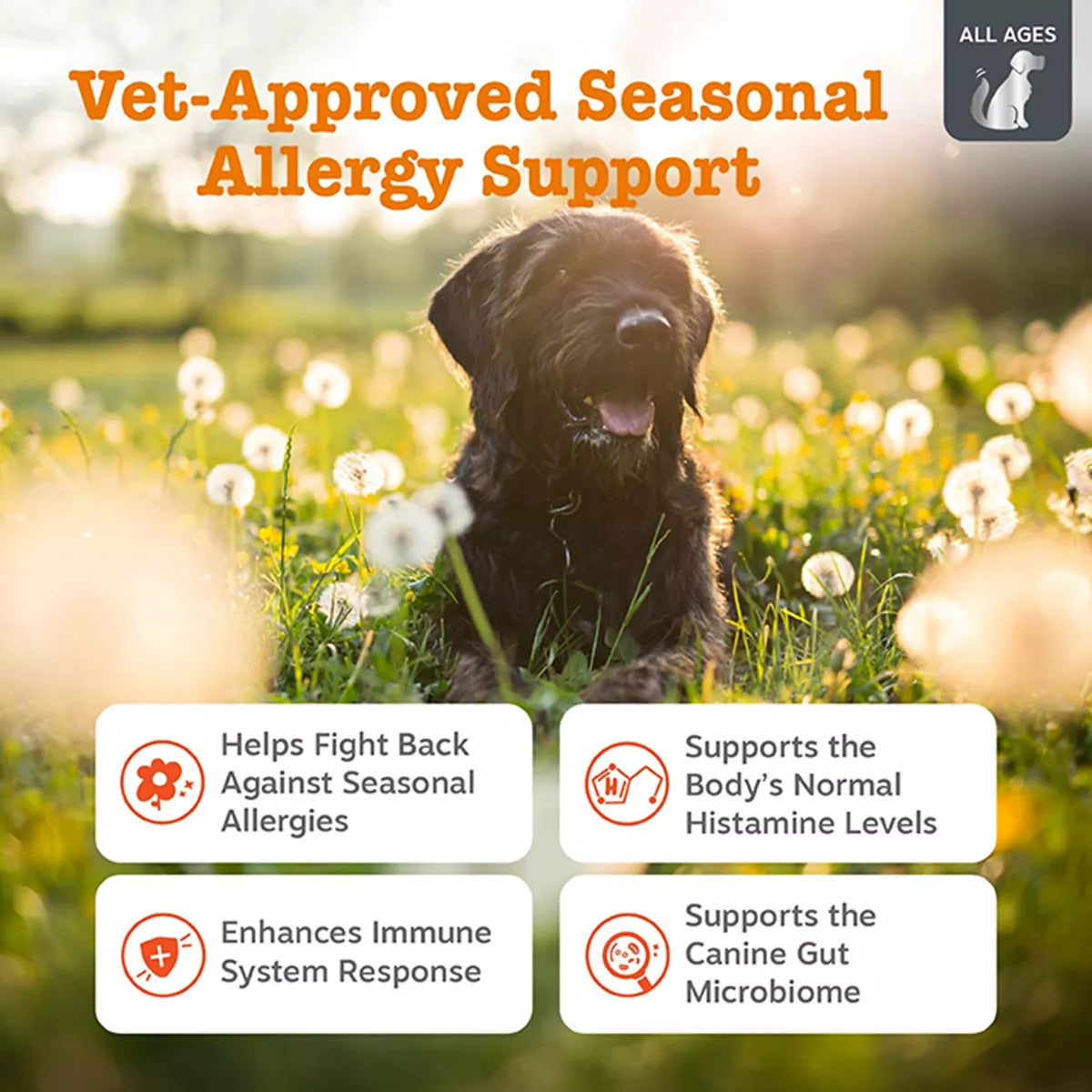 Zesty Paws Dog Vet Strength Allergy & Immune, Fish Oil & Immune Blend, Smoked Cheese Flavor, 90ct