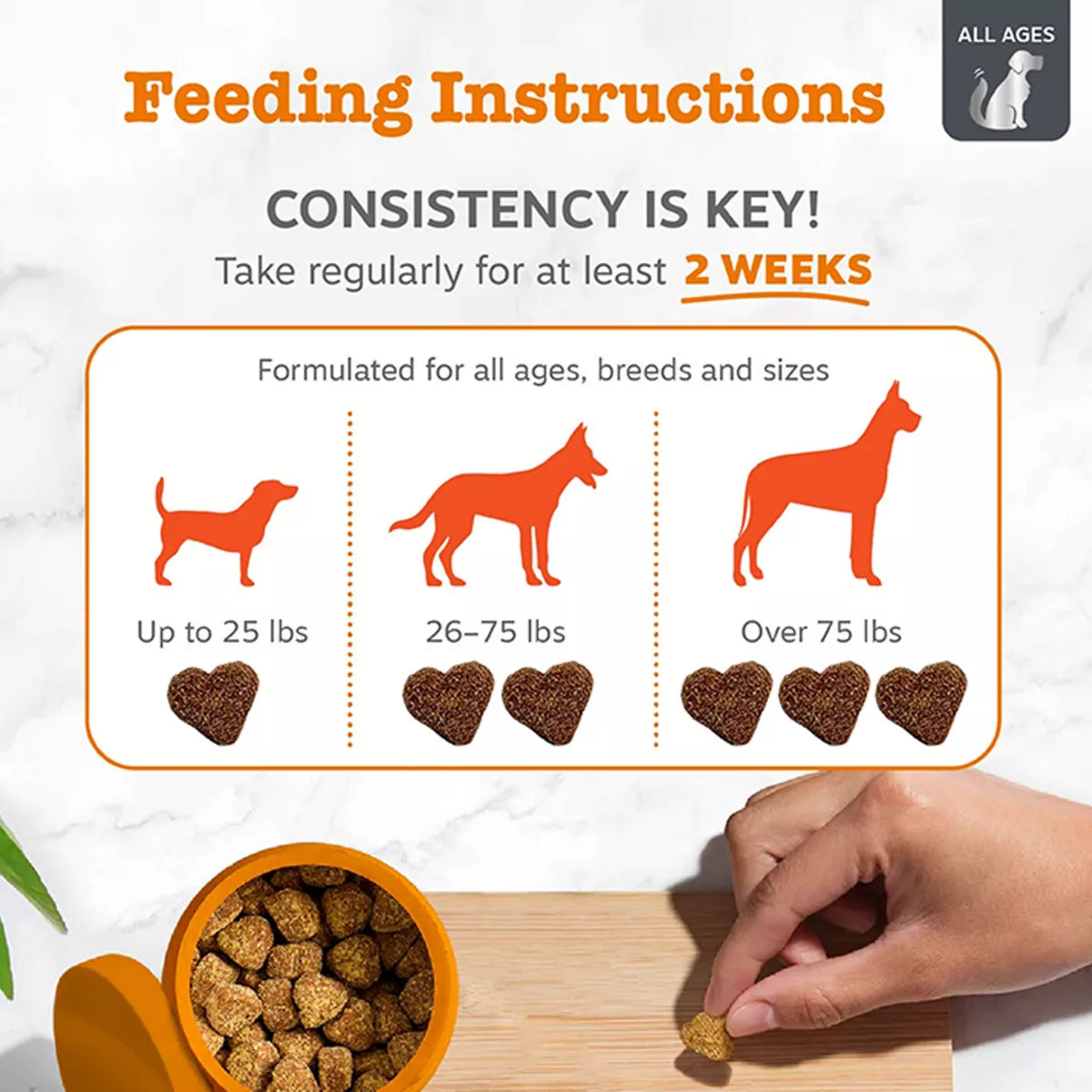 Zesty Paws Dog Vet Strength Allergy & Immune, Fish Oil & Immune Blend, Smoked Cheese Flavor, 90ct