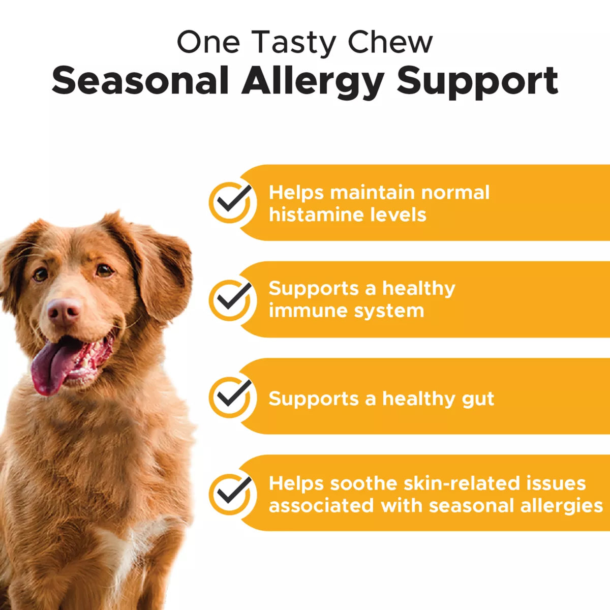 Pet Honesty Dog Allergy Support Supplement, Occasional & Seasonal Allergies, Peanut Butter, 90ct