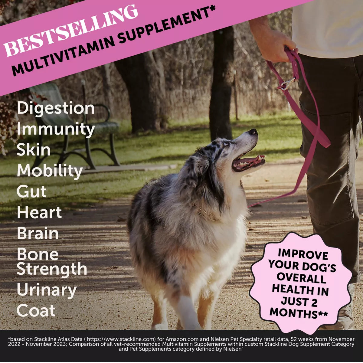 Pet Honesty 10-in-1 Multivitamin - Soft Chews
