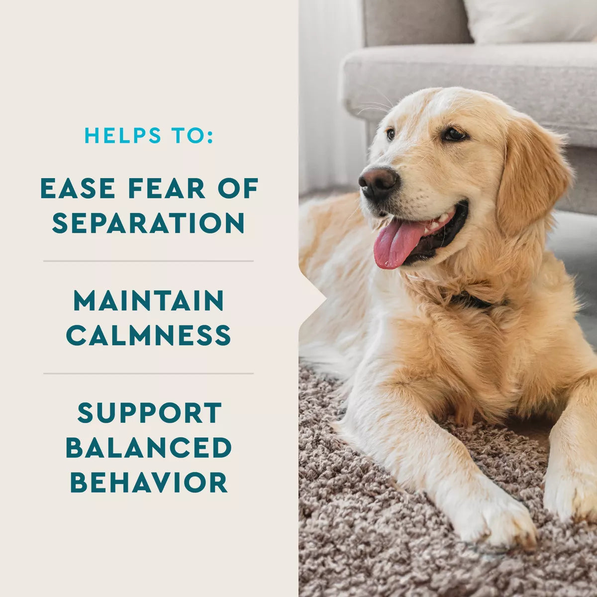 VetIQ Calming - 60 Count