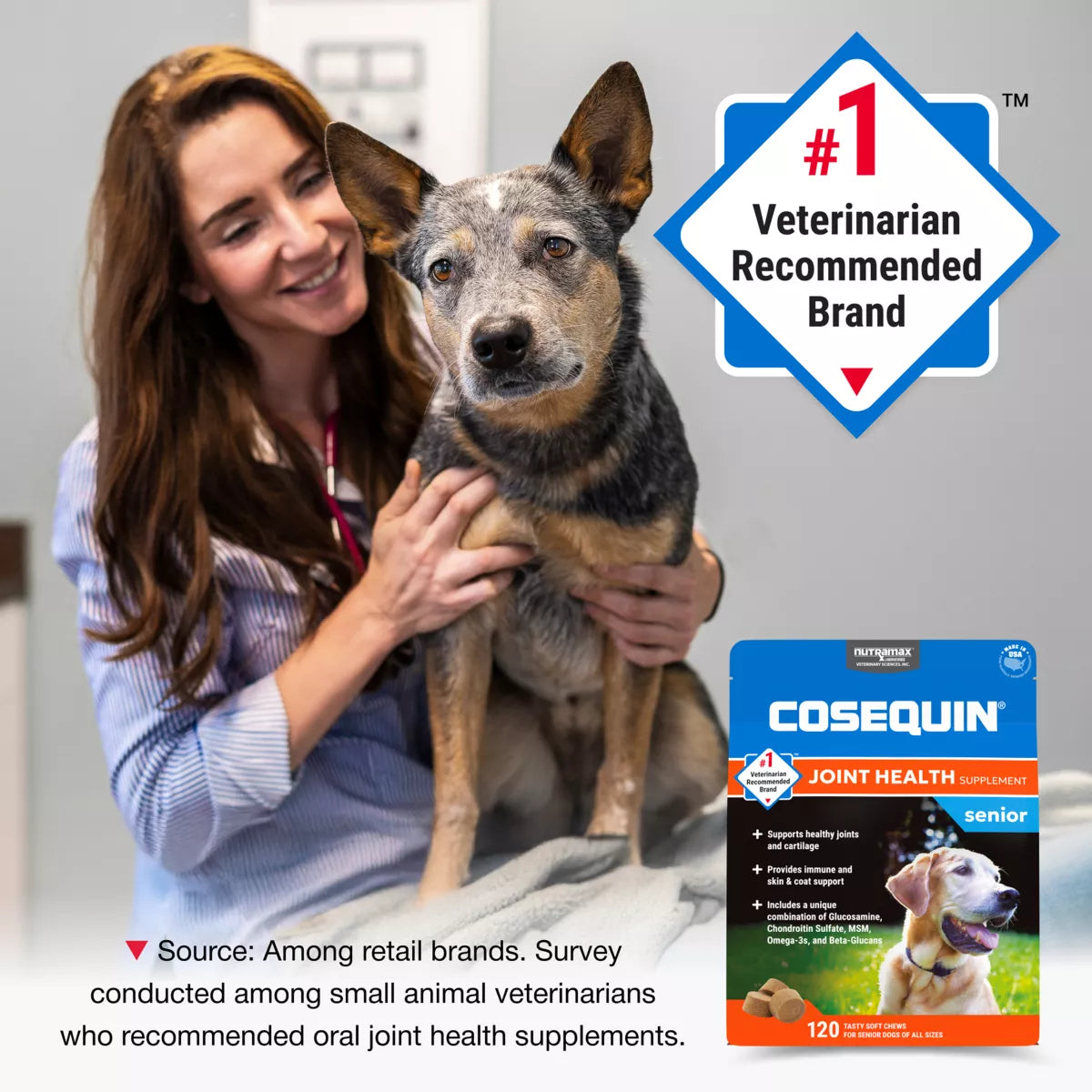 Cosequin® Senior Soft Chews
