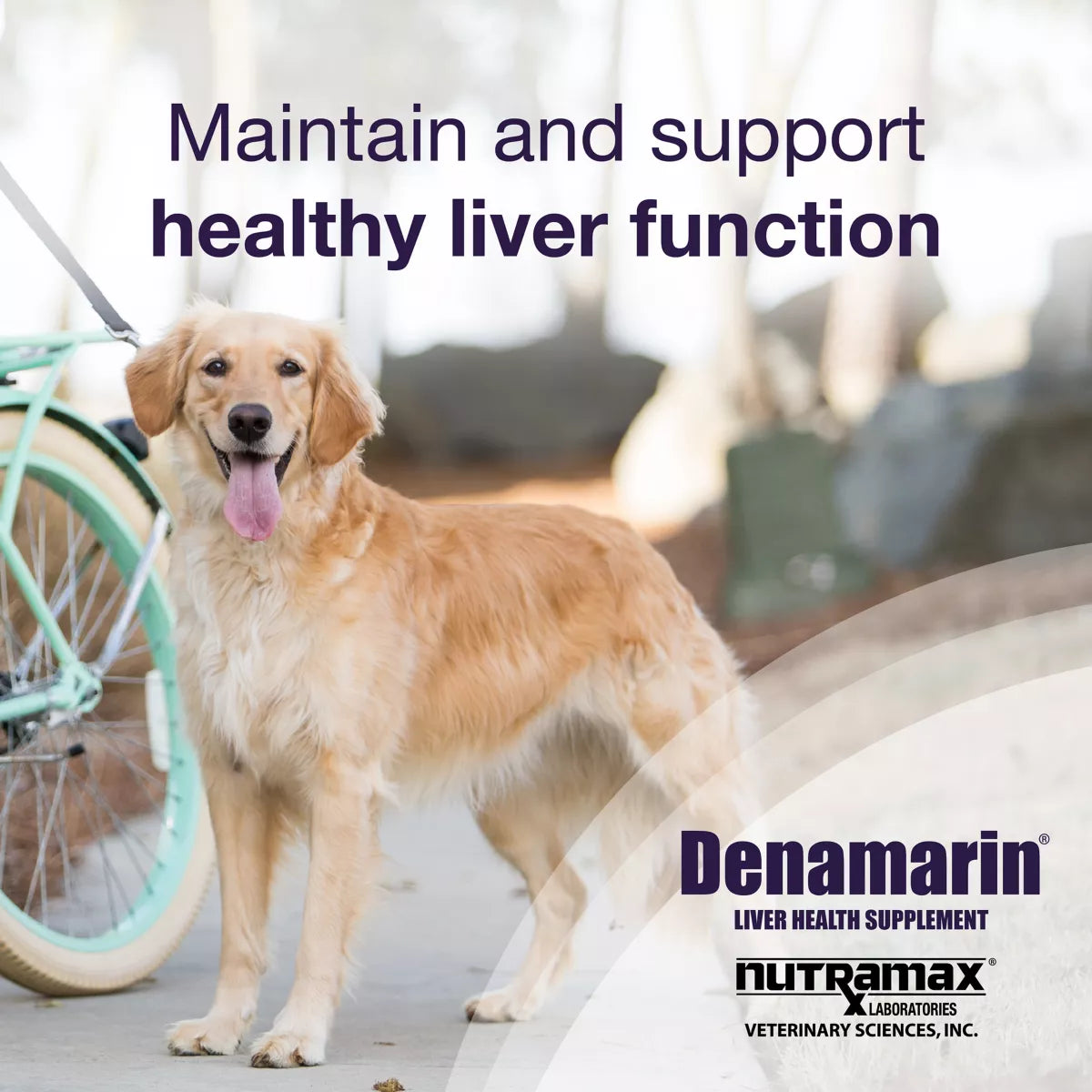 Nutramax Laboratories Veterinary Sciences Denamarin Dog Liver Health Supplement, Large Dogs, 30ct
