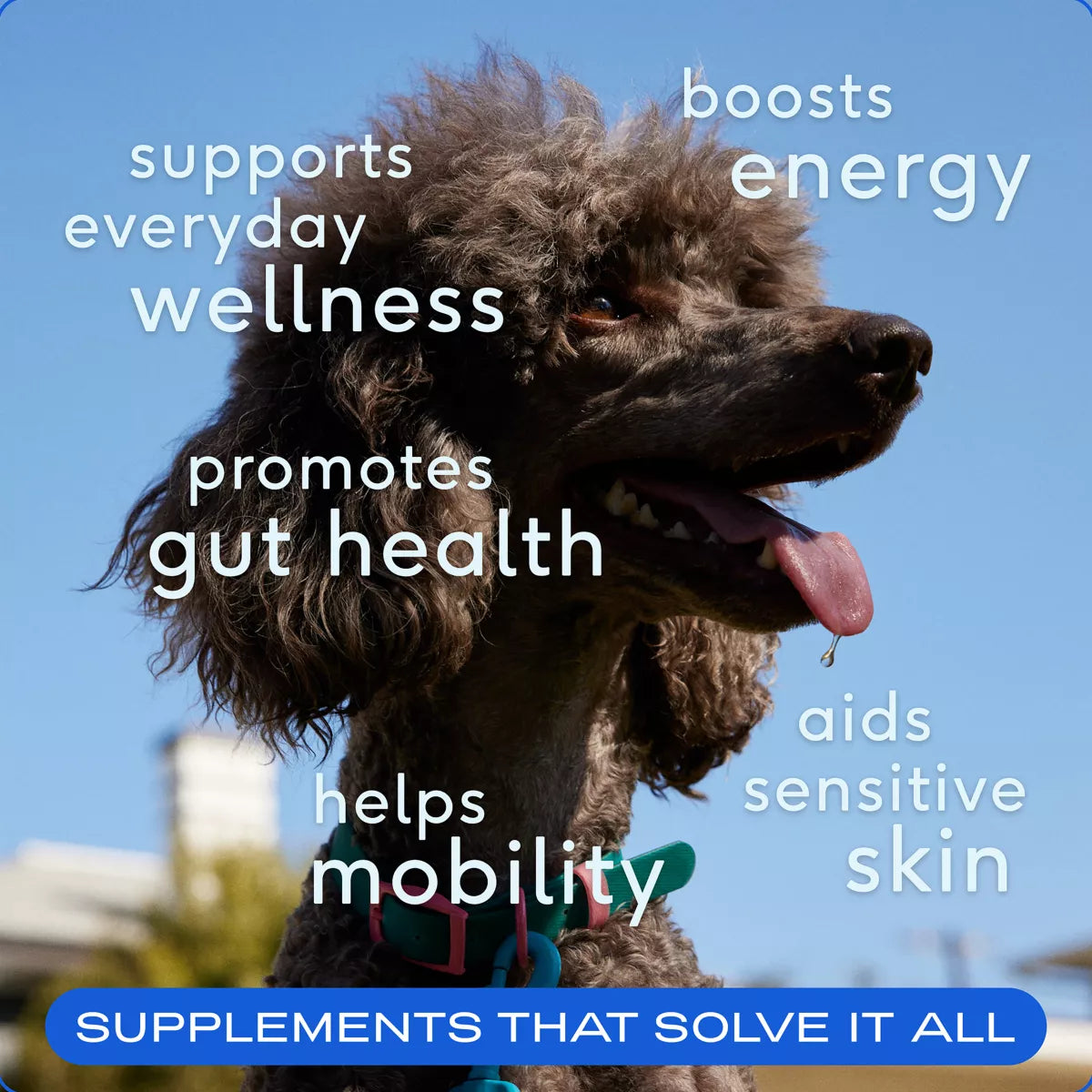 Native Pet The Daily Supplement for Dogs - Multivitamin Powder Supplement