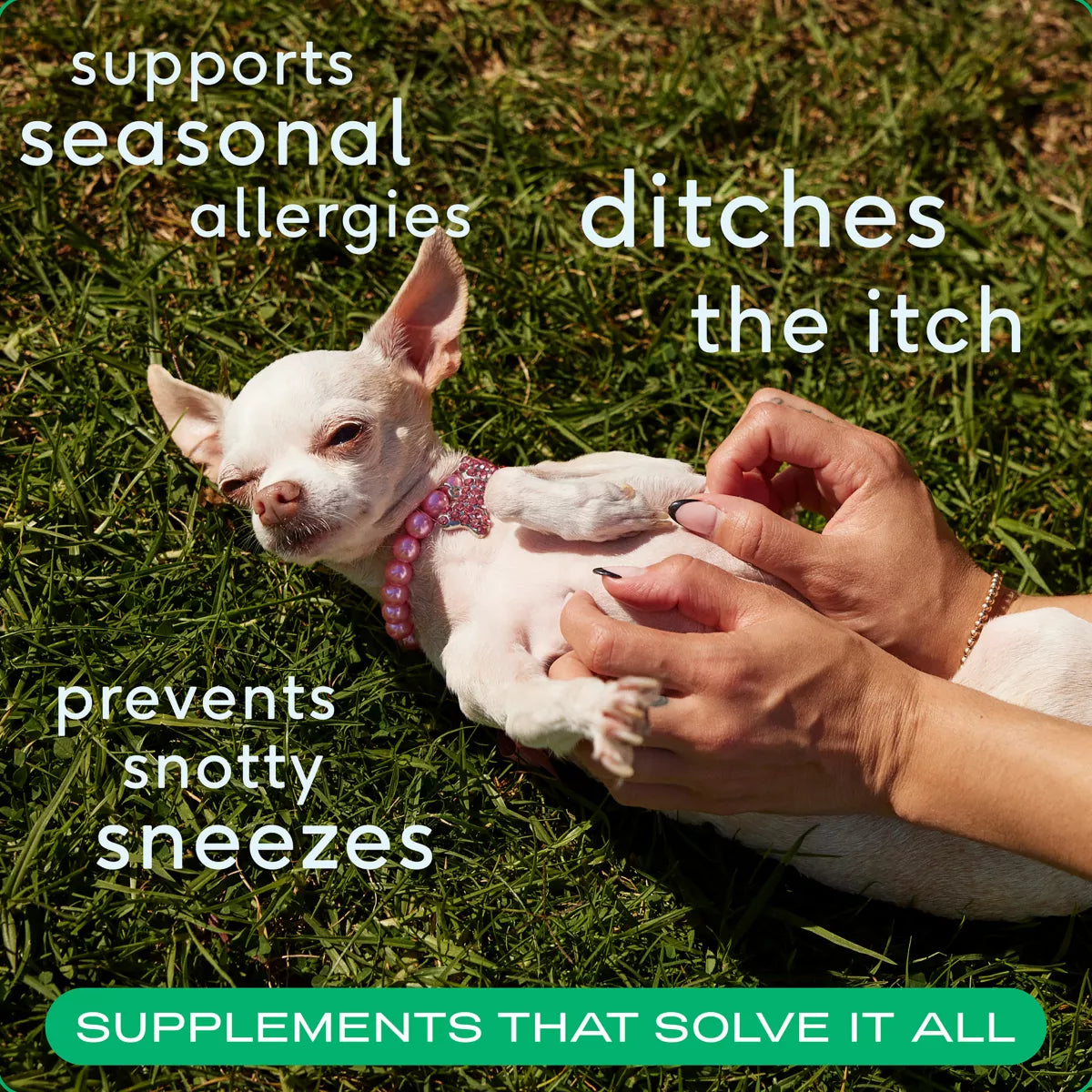 Native Pet Dog Allergy Chews for Immune & Seasonal Allergies, Made with Real Chicken, 60ct, 120ct