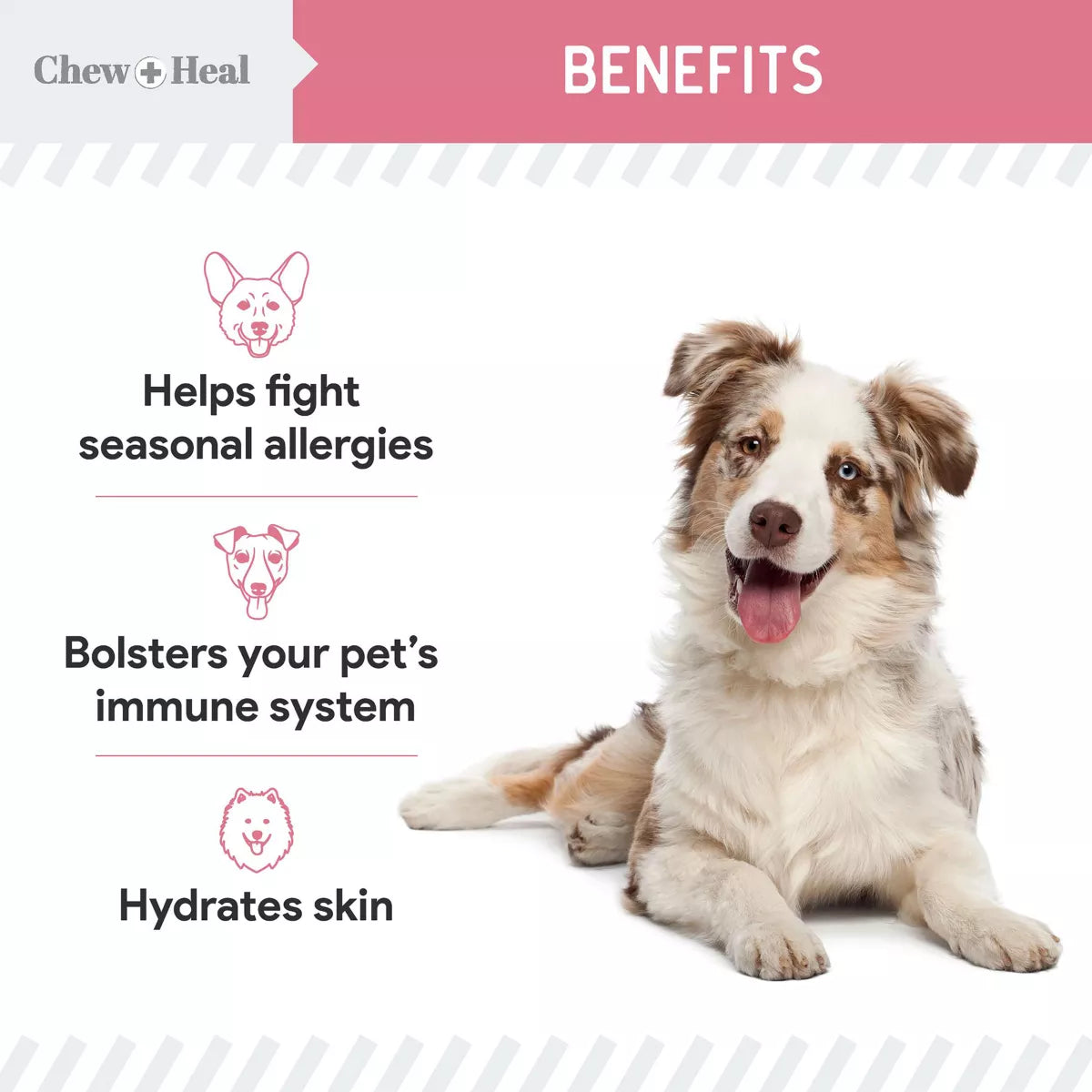 Chew + Heal Dog Allergy Itch Relief Vitamin, Immune System Supplements, Chicken Flavor, 90 Count
