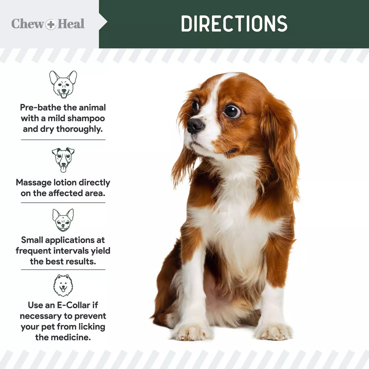 Chew + Heal Dog Hydrocortisone First Aid Essential Skin Lotion, Reduces Swelling & Itching, 4-fl oz