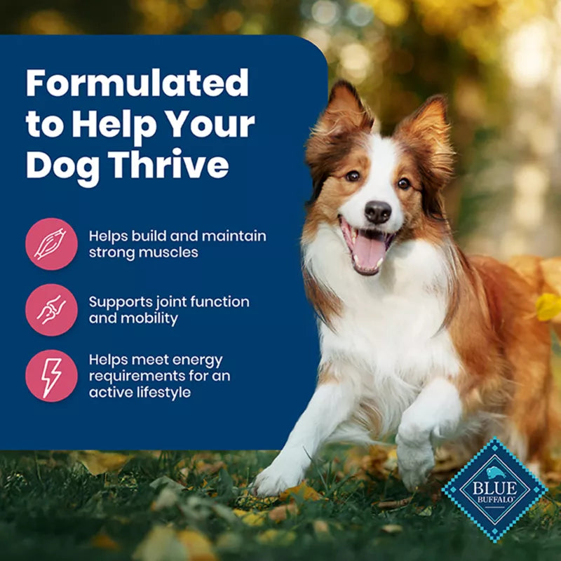 Blue Buffalo Life Protection Formula Adult Dry Dog Food - Salmon & Rice - Image 4