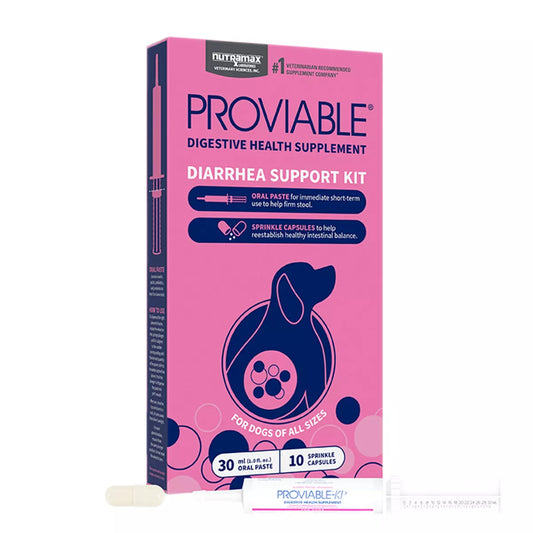 Nutramax Dog Proviable Probiotics & Prebiotics Digestive Supplement Kit, 30 ml Paste/10 Capsules