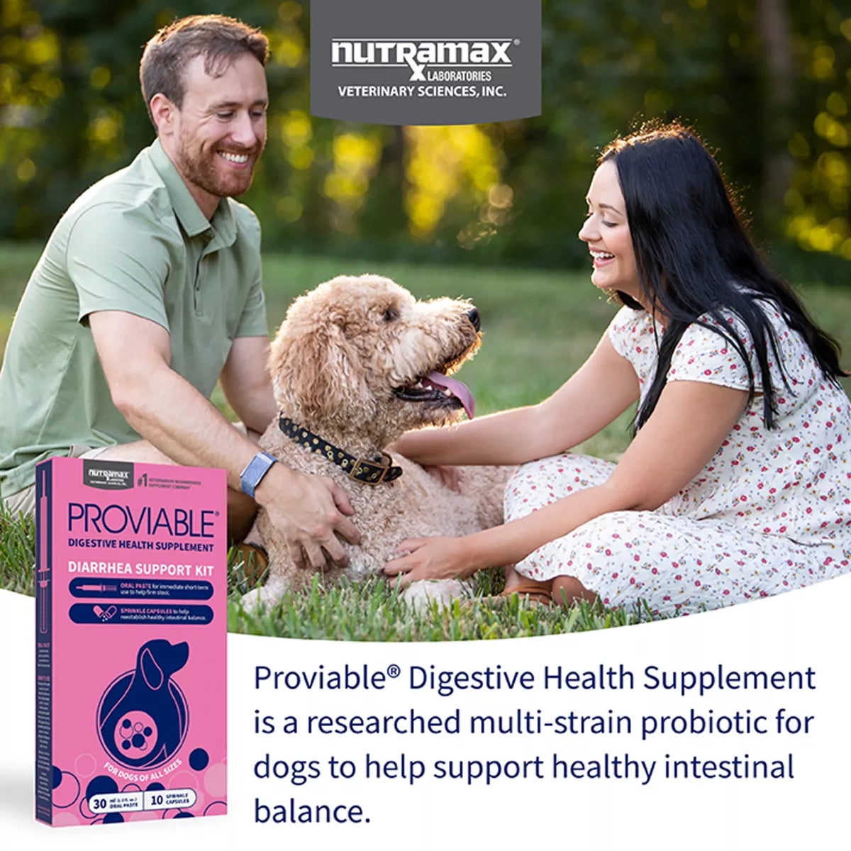 Nutramax Dog Proviable Probiotics & Prebiotics Digestive Supplement Kit, 30 ml Paste/10 Capsules