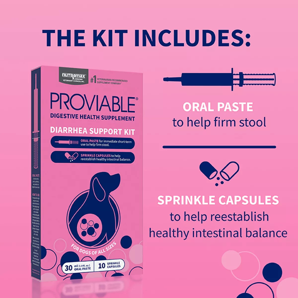 Nutramax Dog Proviable Probiotics & Prebiotics Digestive Supplement Kit, 30 ml Paste/10 Capsules