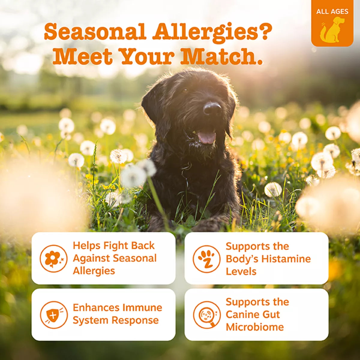 Zesty Paws Dog Allergy & Immune Bites Immune & Gut Support Supplement, Lamb Flavor, 250 Count