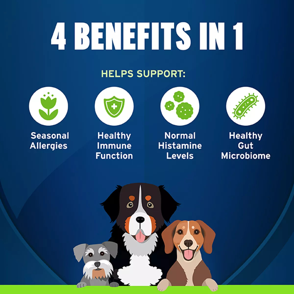 Pet Protect Dog Allergy & Immune+ Soft Chew Supplements, Vet-Formulated, Bacon Flavor, 60 Count