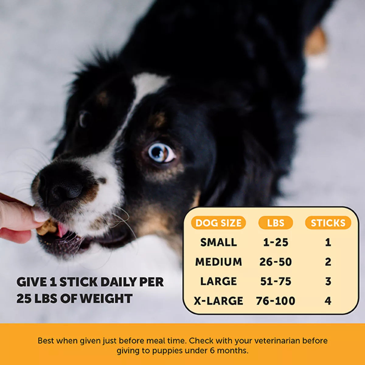 Pet Honesty Dog Allergy Support Fresh Sticks, Pumpkin Peanut Butter Flavored, 30 Count