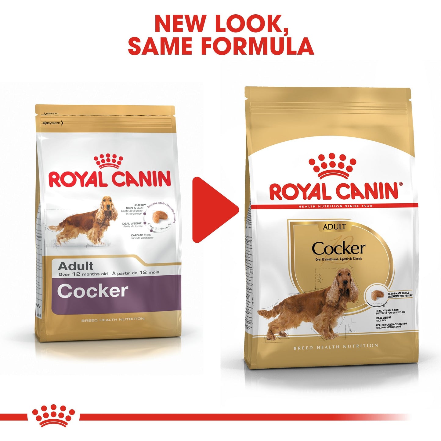 Royal Canin Cocker Adult (3 KG) - Dry food for adult Cocker dogs over 12 months
