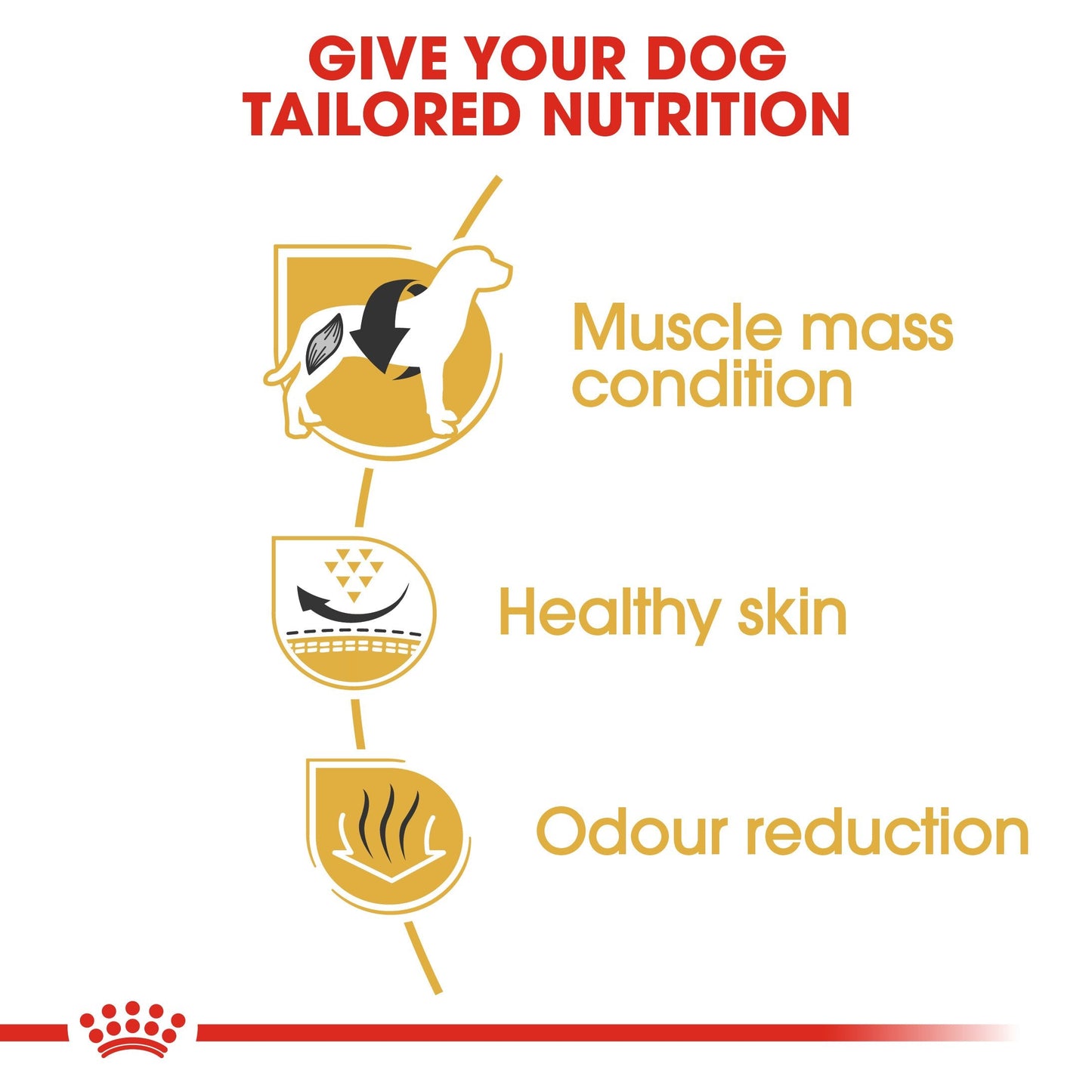 Royal Canin French Bulldog Adult (3 KG)- Dry food for adult dogs over 12 months
