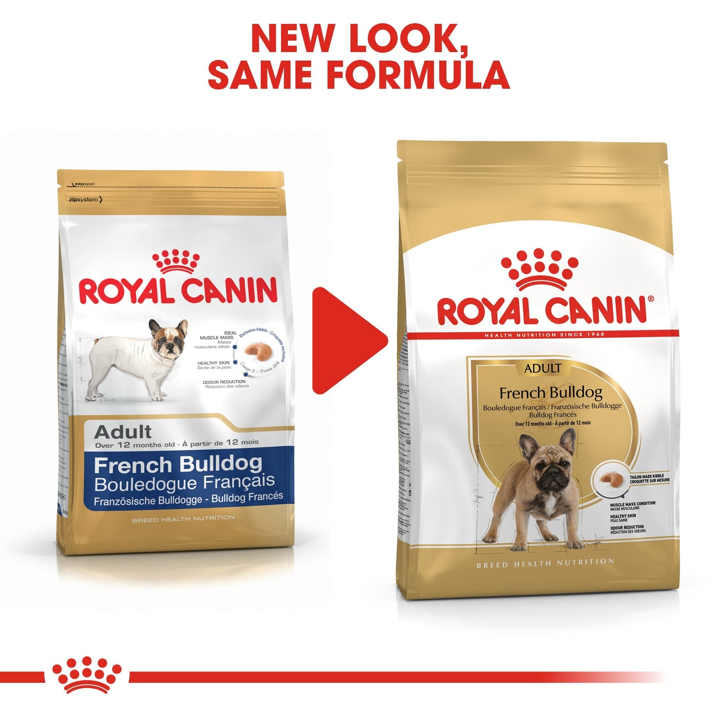 Royal Canin French Bulldog Adult (3 KG)- Dry food for adult dogs over 12 months