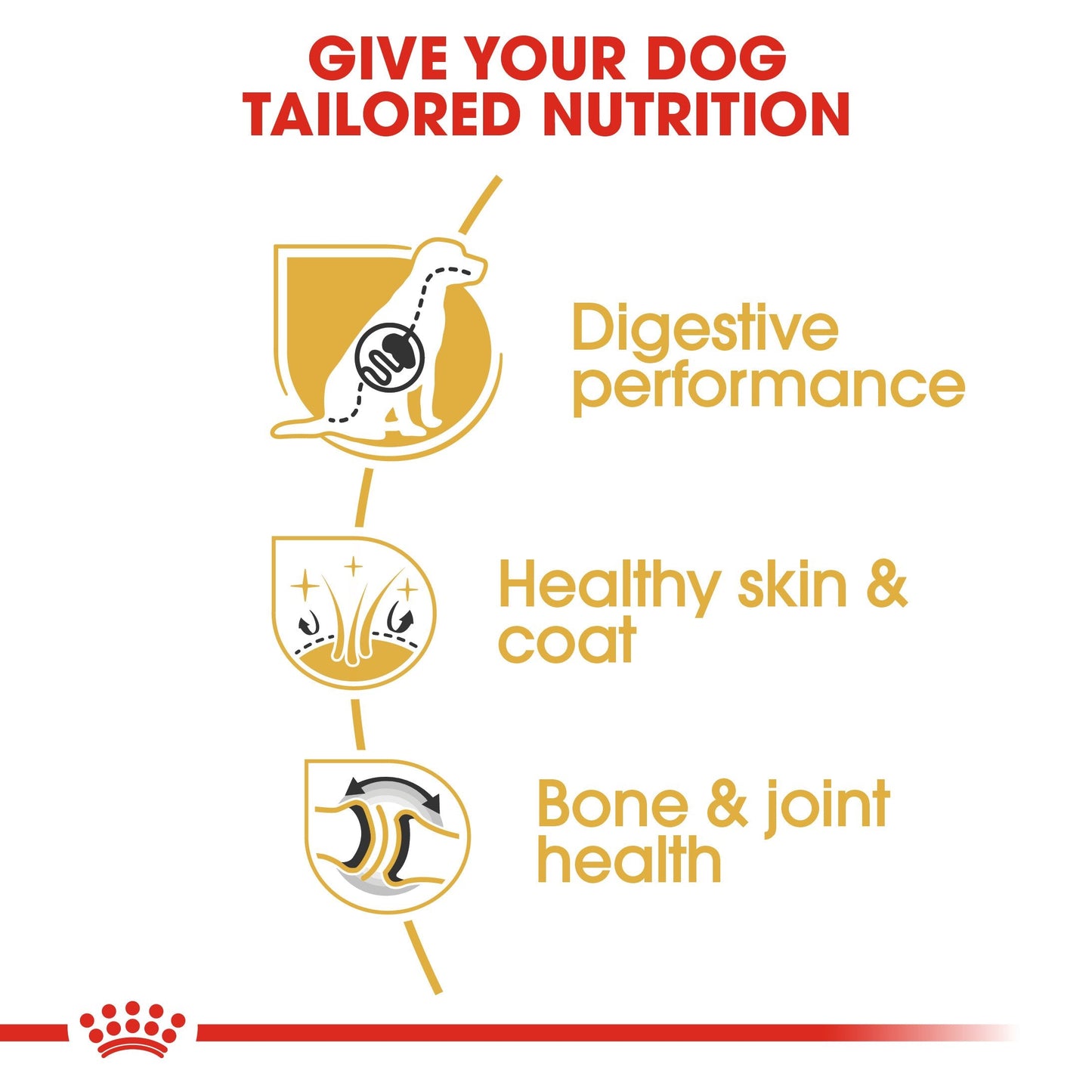 Royal Canin German Shepherd Adult (3 KG) - Dry food for adult dogs over 15 months
