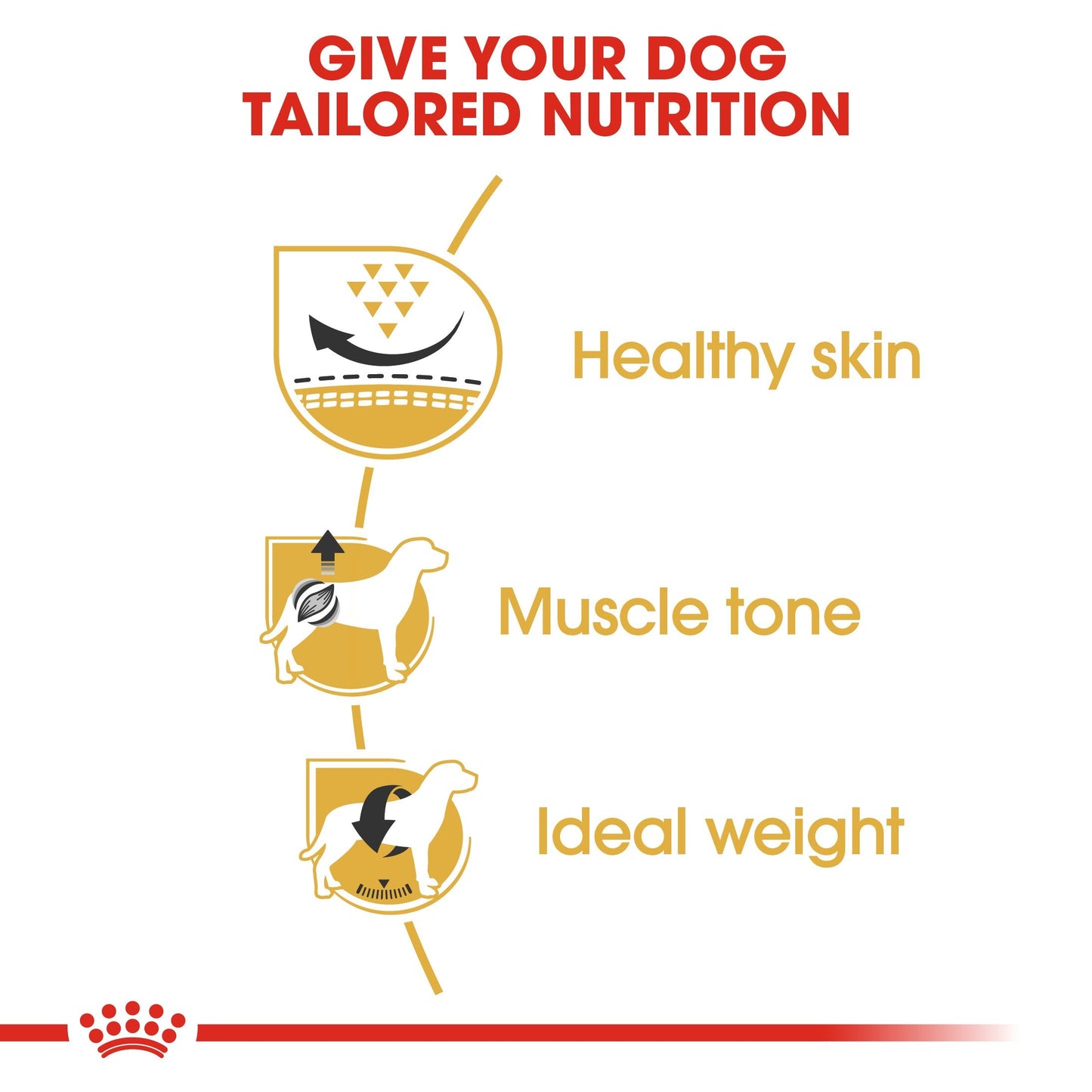 Royal Canin Pug Adult (1.5KG) - Dry food for adult dogs over 10 months old