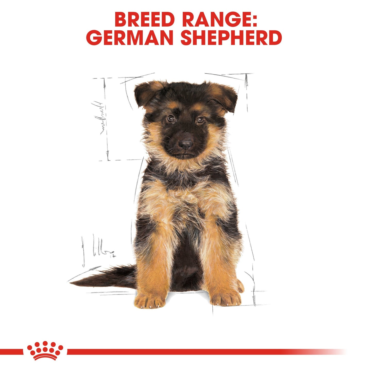 Royal Canin German Shepherd Puppy (16 KG) - Dry food for puppies up to 15 months