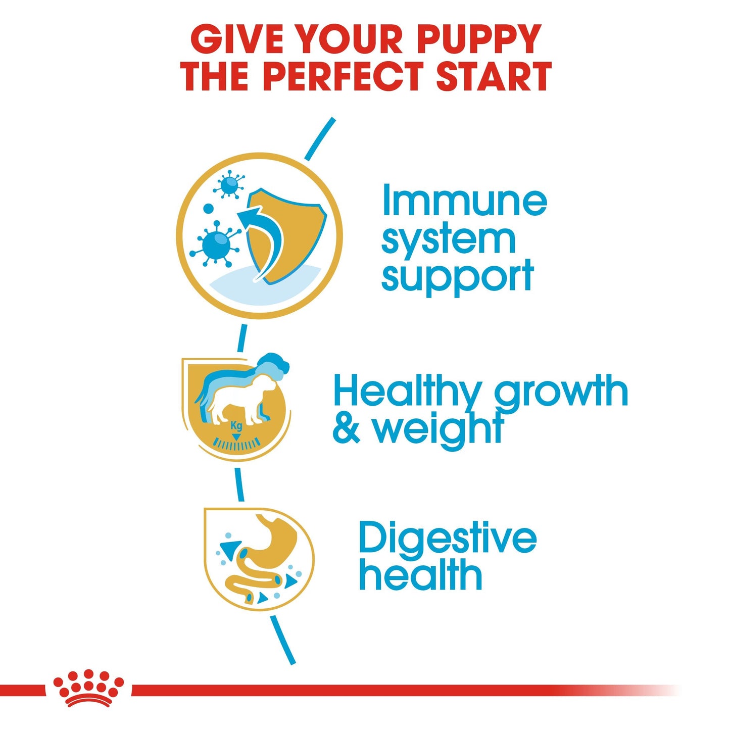 Royal Canin Labrador Retriever Puppy (16KG) - Dry food for puppies up to 15 months