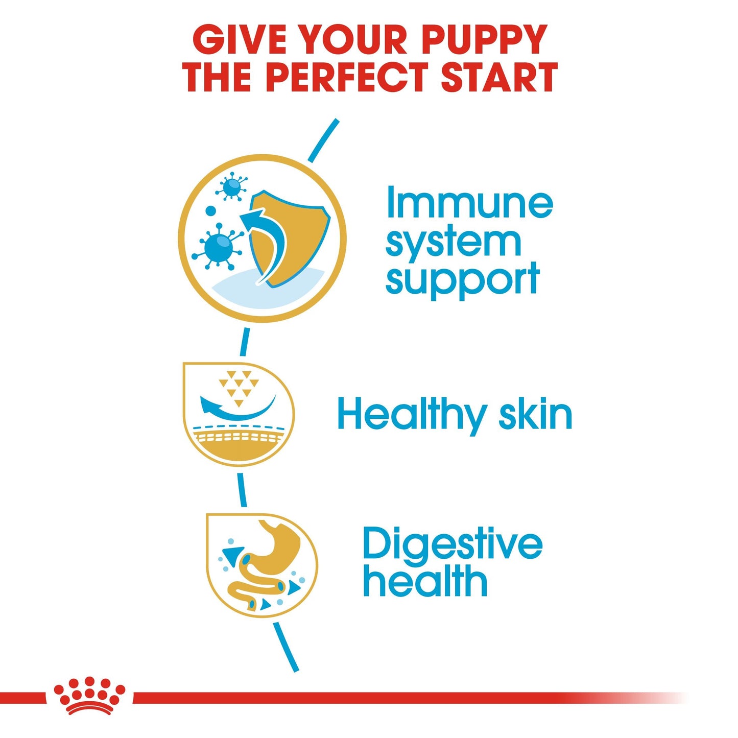 Royal Canin Pug Puppy (1.5kg) - Dry food for puppies 10 months