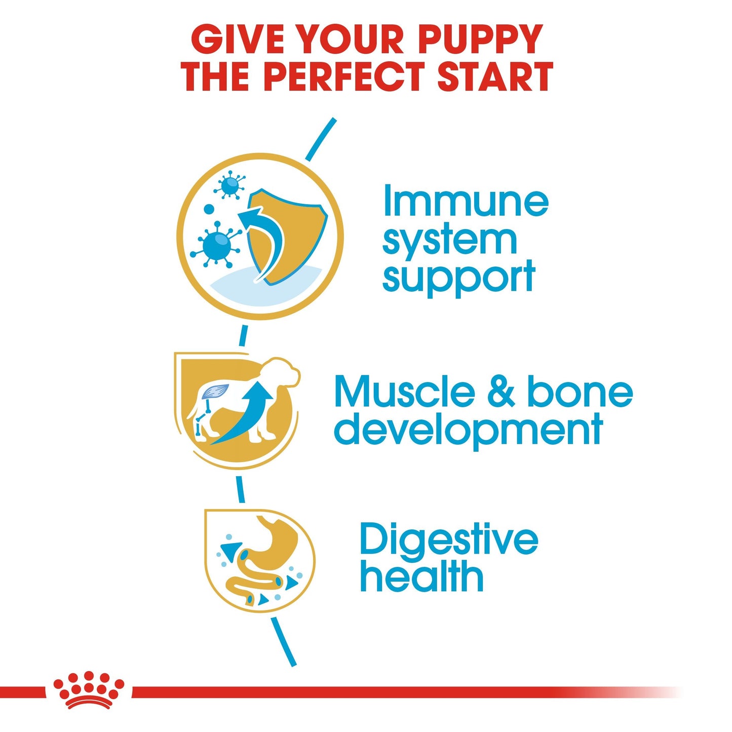Royal Canin Rottweiler Puppy (12 KG) - for Rottweiler puppies up to 18 months
