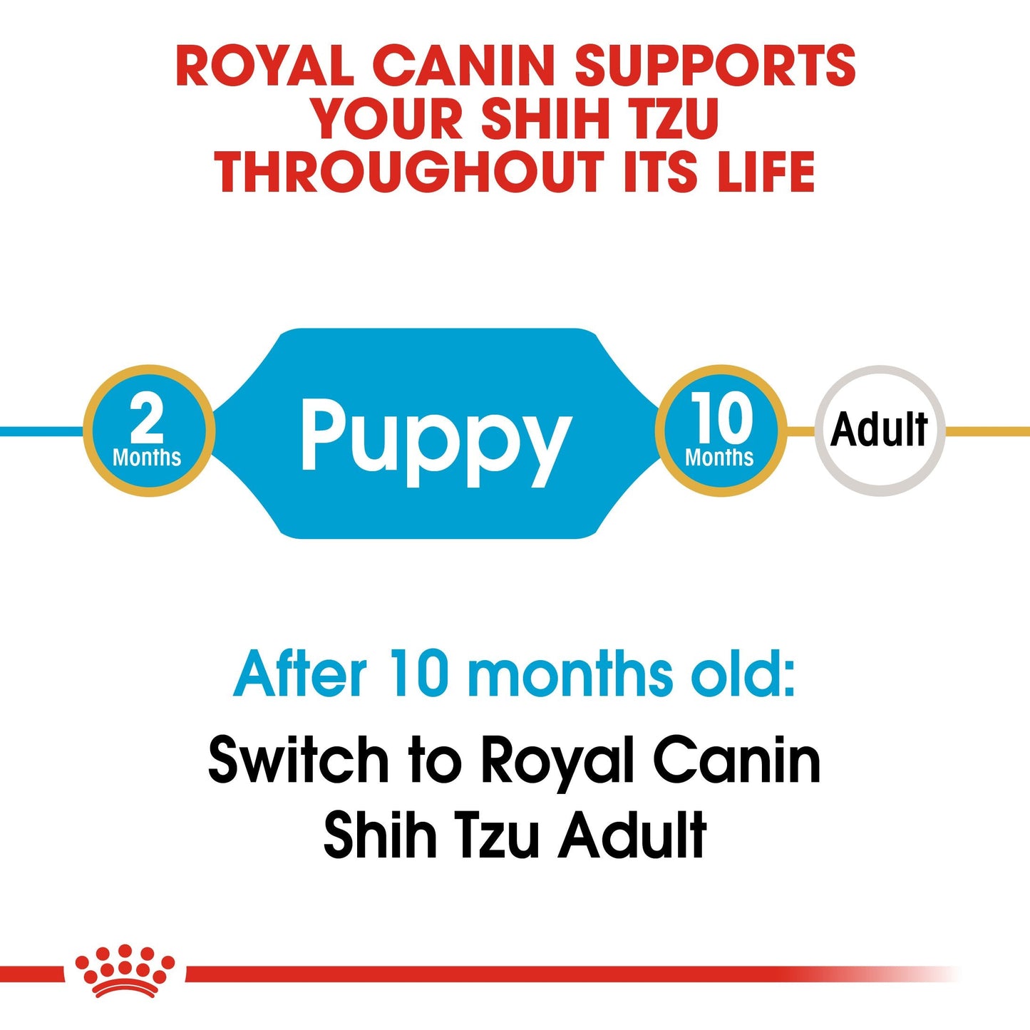 Royal Canin Shih Tzu Puppy (1.5 KG) - Dry food for puppies up to 10 months old