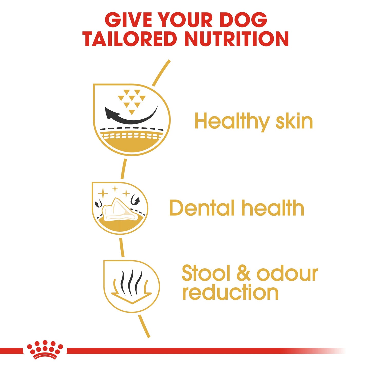 Royal Canin Shih Tzu Adult (1.5 KG) – Dry food for adult dogs over 10 months old